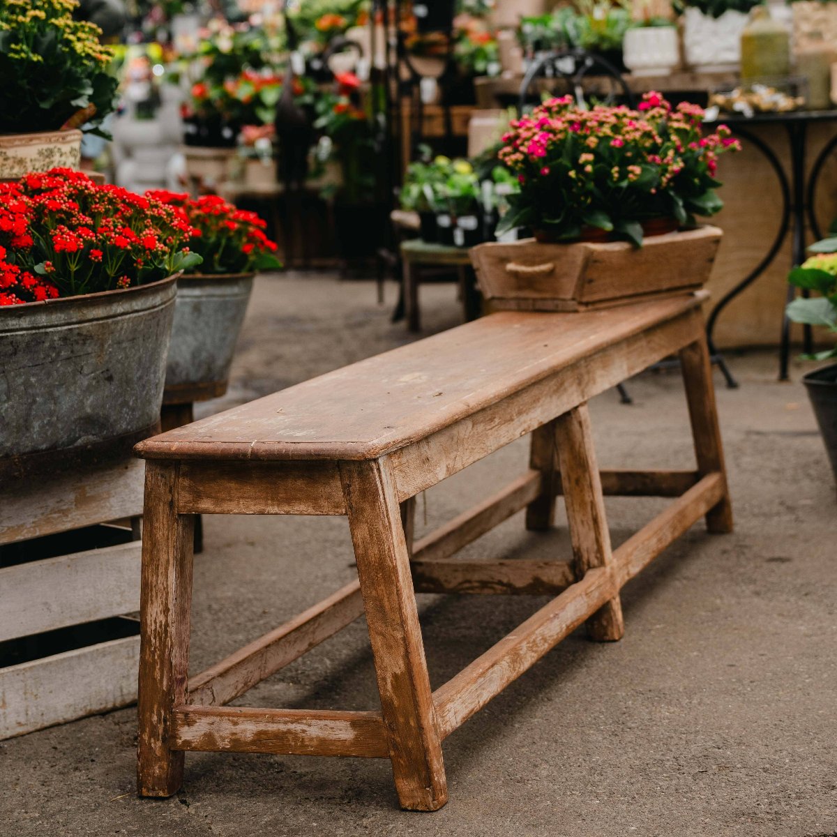 Vintage Indian Bench BH - Furniture Brookfield Gardens 