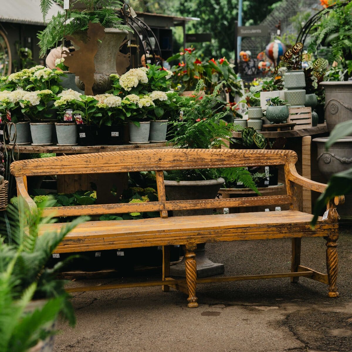 Vintage Indian Bench BH - Furniture Brookfield Gardens 