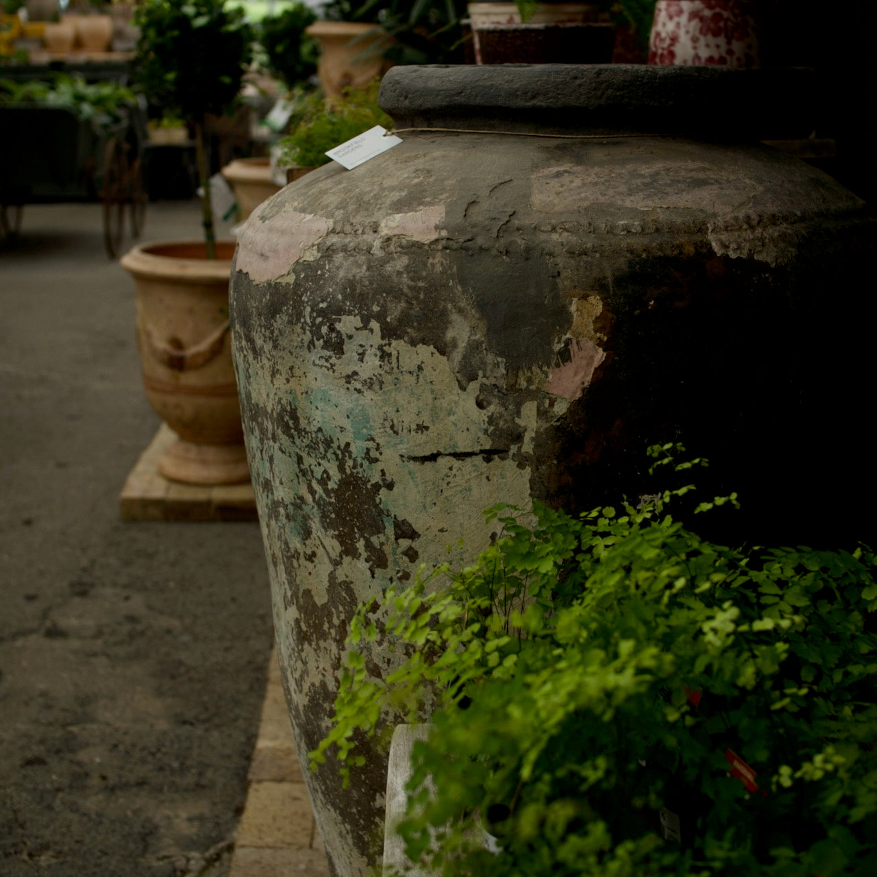 Large vintage Indian terracotta urn with naturally weathered patina, perfect as a statement garden planter or decorative outdoor vessel.