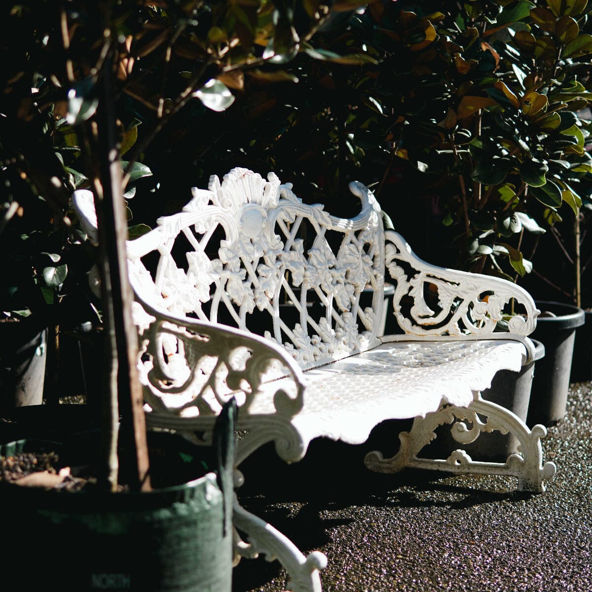 White Crown Bench Furniture Brookfield Gardens 