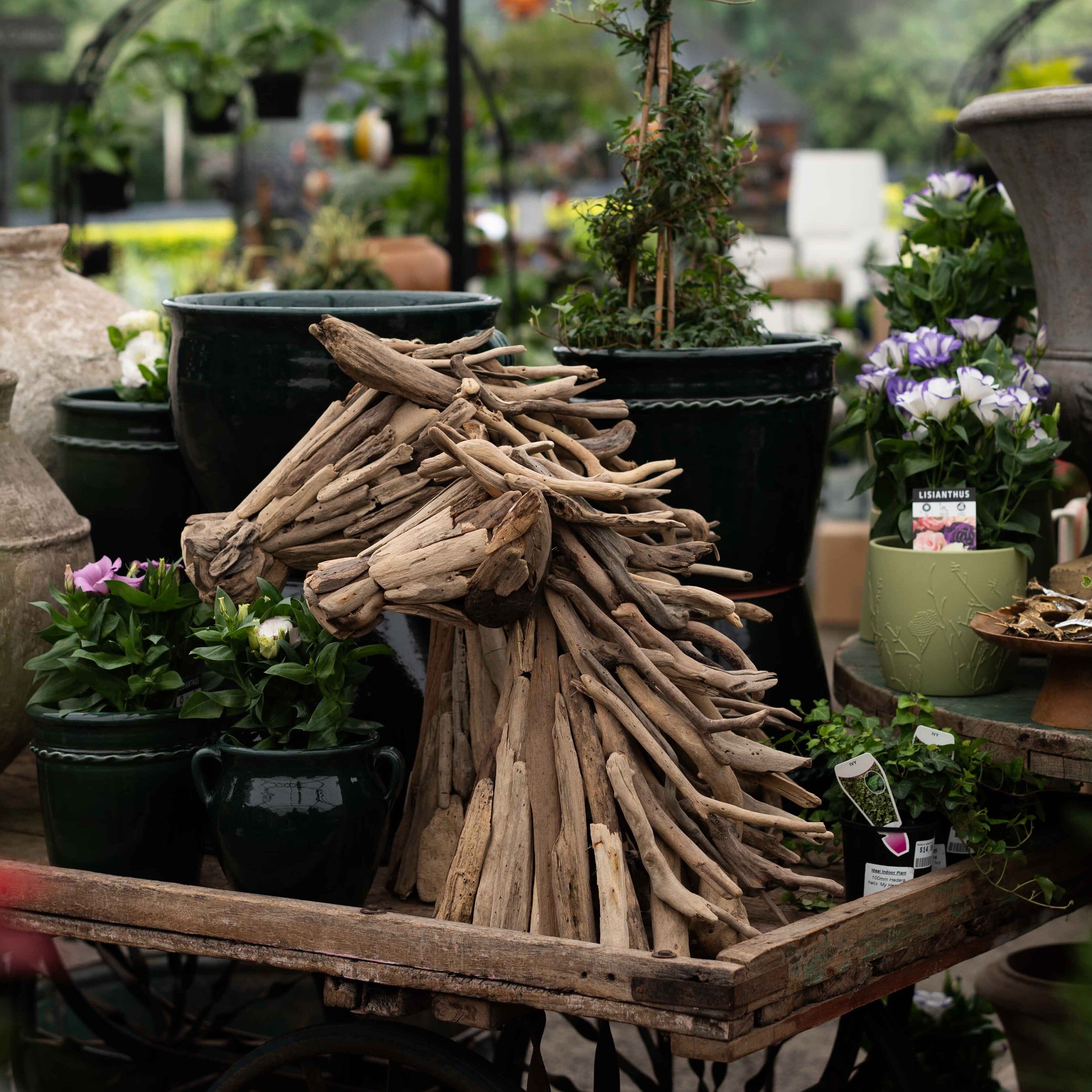 Wooden Horse Head 50cm Gift - Ornaments Brookfield Gardens 