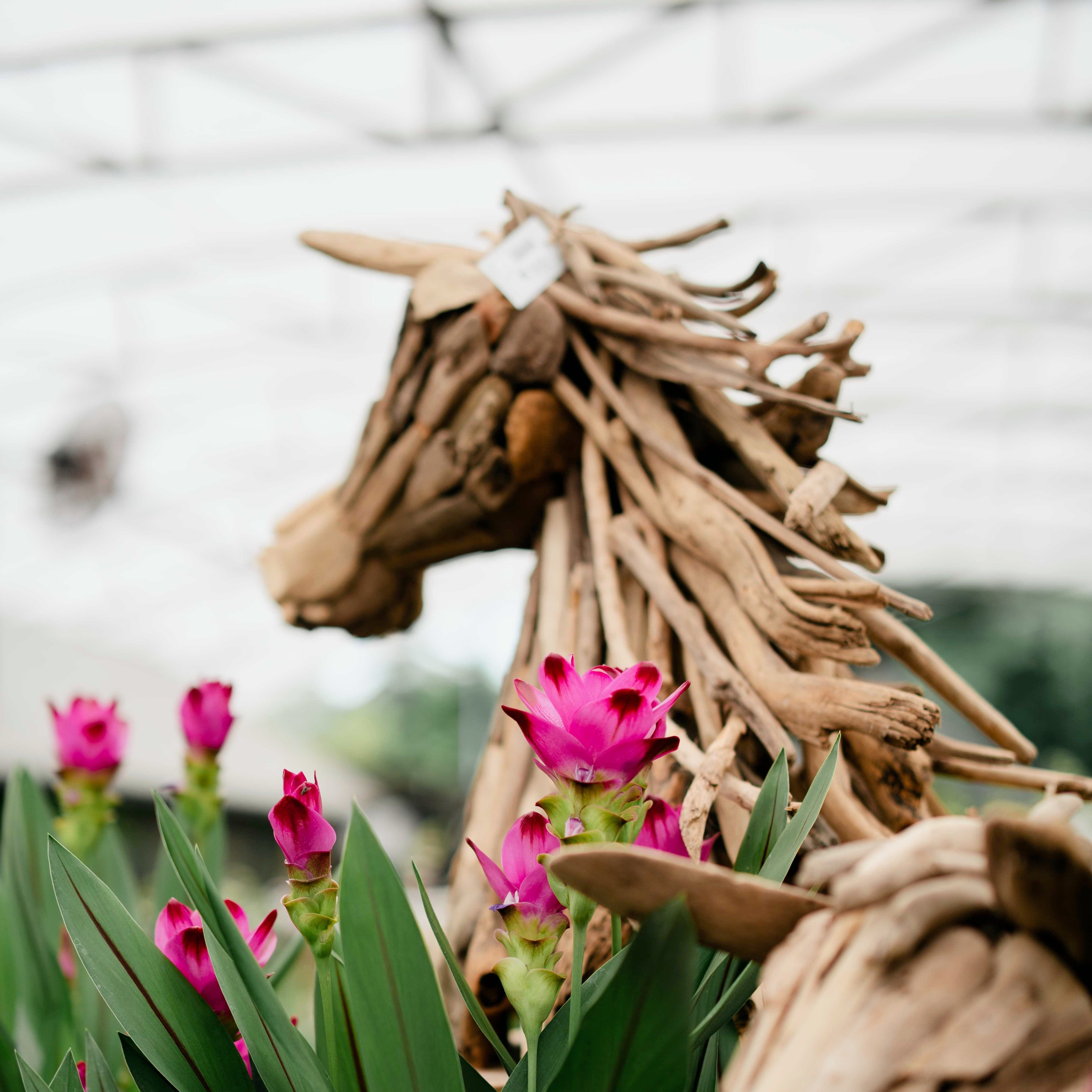 Wooden Horse Head 60cm Gift - Ornaments Brookfield Gardens 