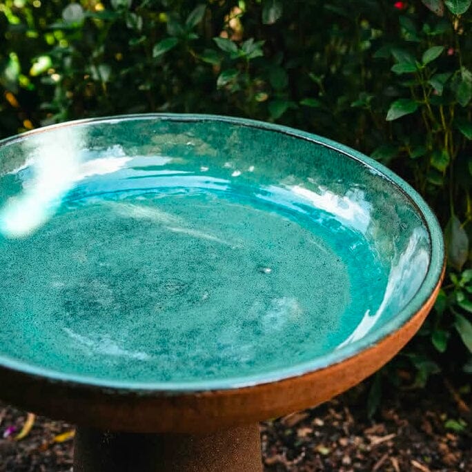 Wren Birdbath Statues / Water features / Bird Bath Brookfield Gardens 