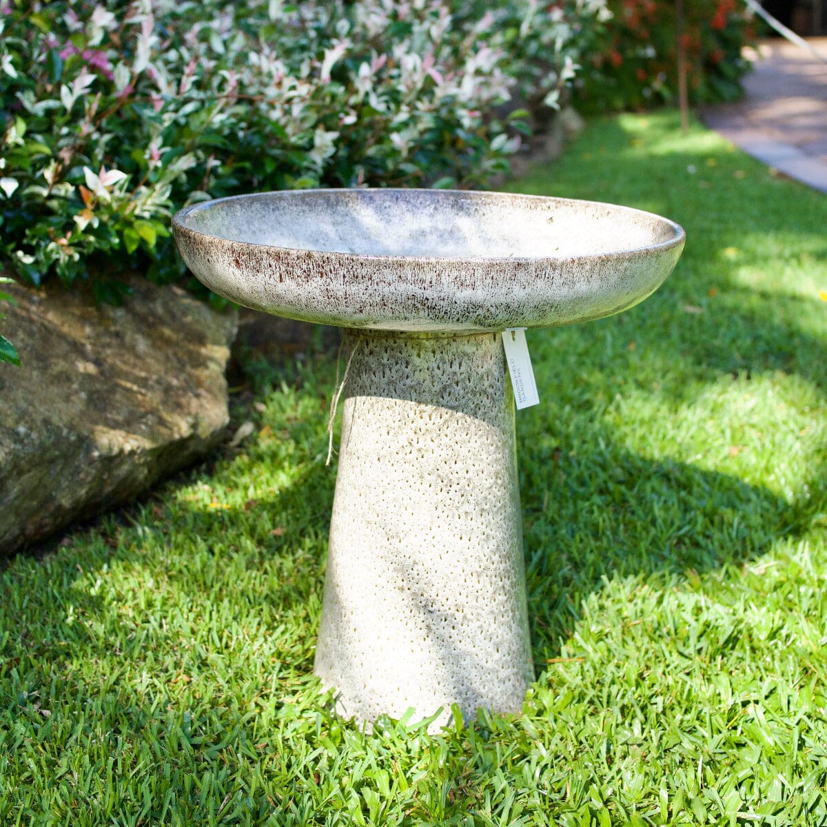 Wren Birdbath Statues / Water features / Bird Bath Garden Club 