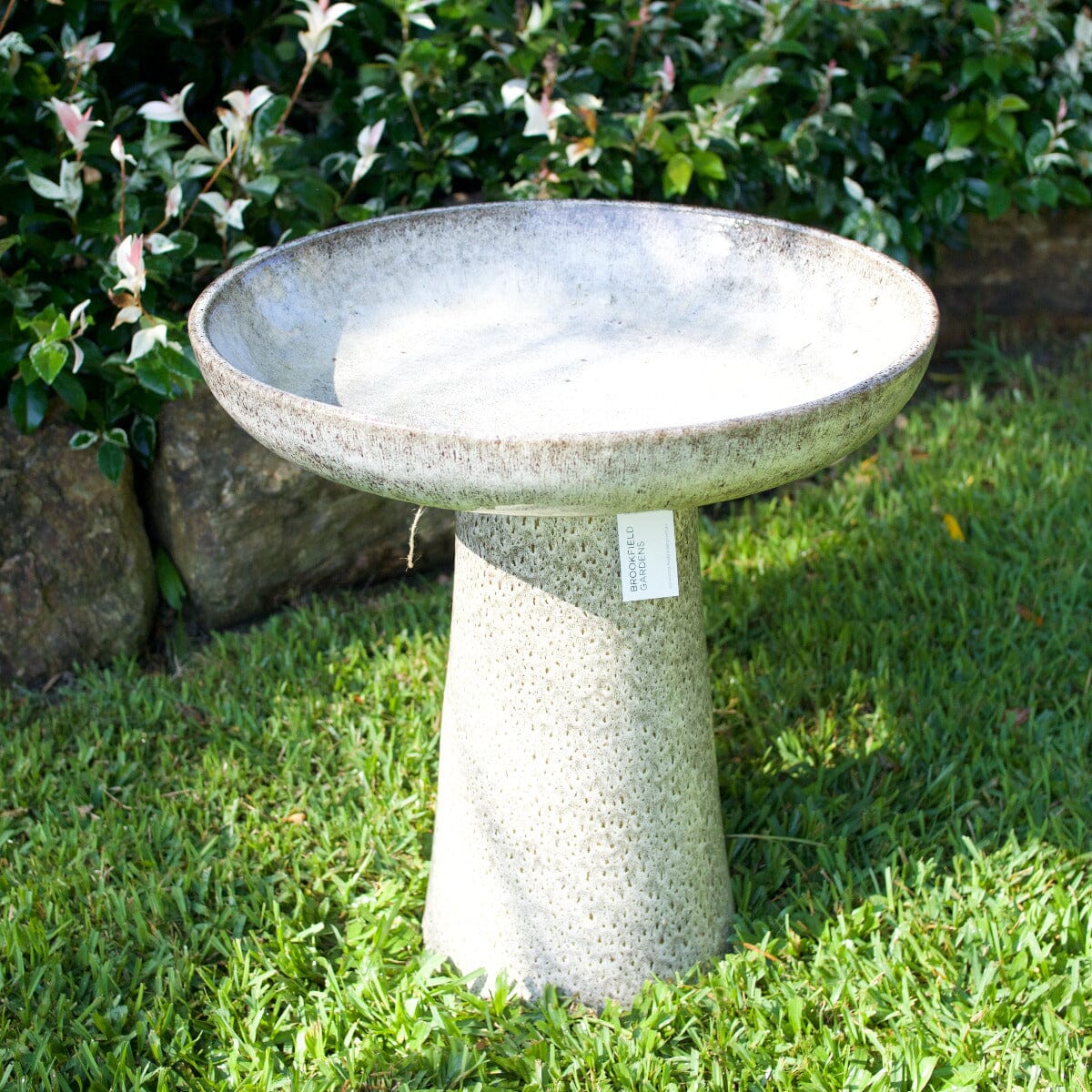 Wren Birdbath Statues / Water features / Bird Bath Garden Club 