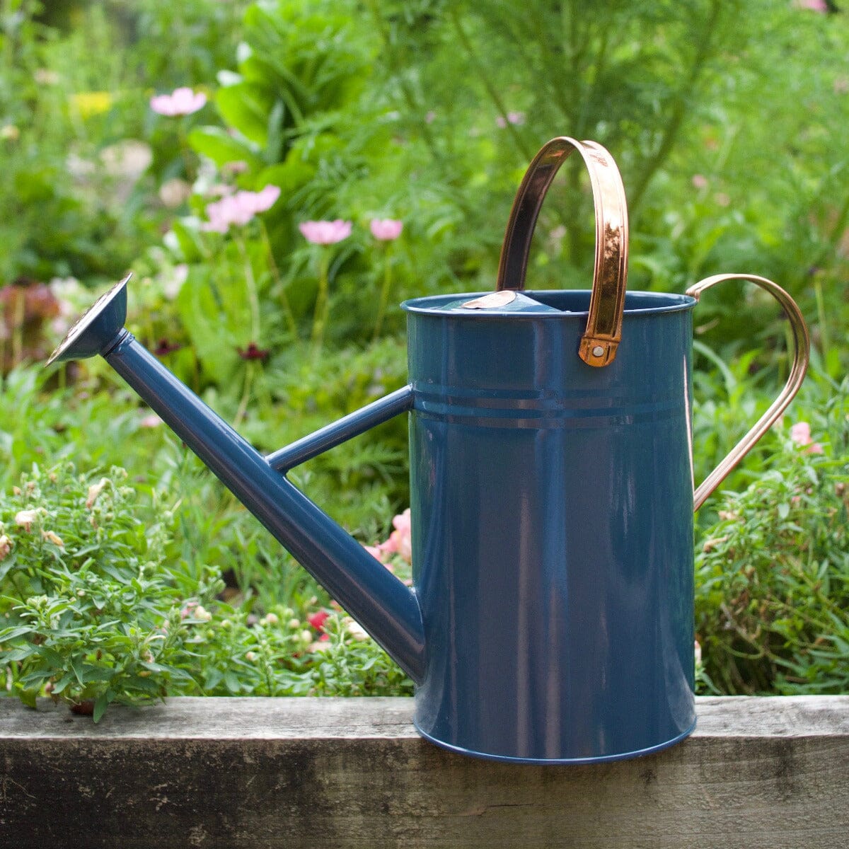 4.5Ltr Watering Can Blue Hardware - Watering Brookfield Gardens