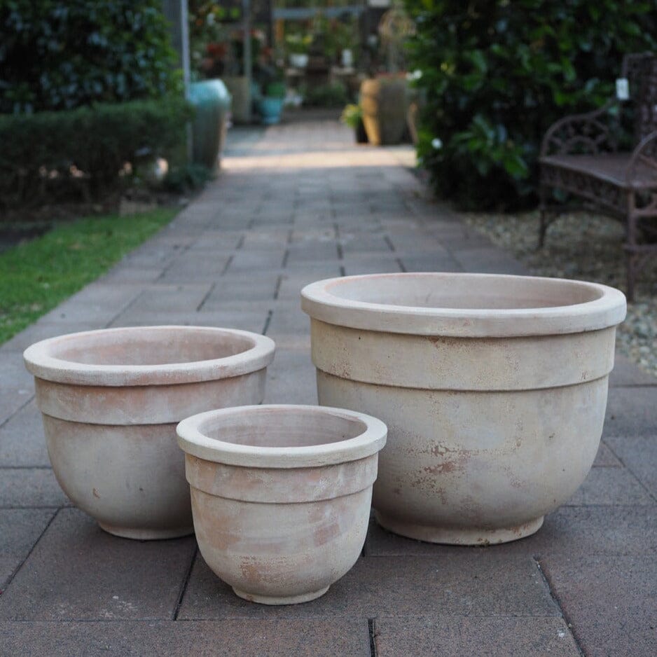 Antique Terra Nimes Pot Pots - Antique Terra Brookfield Gardens 