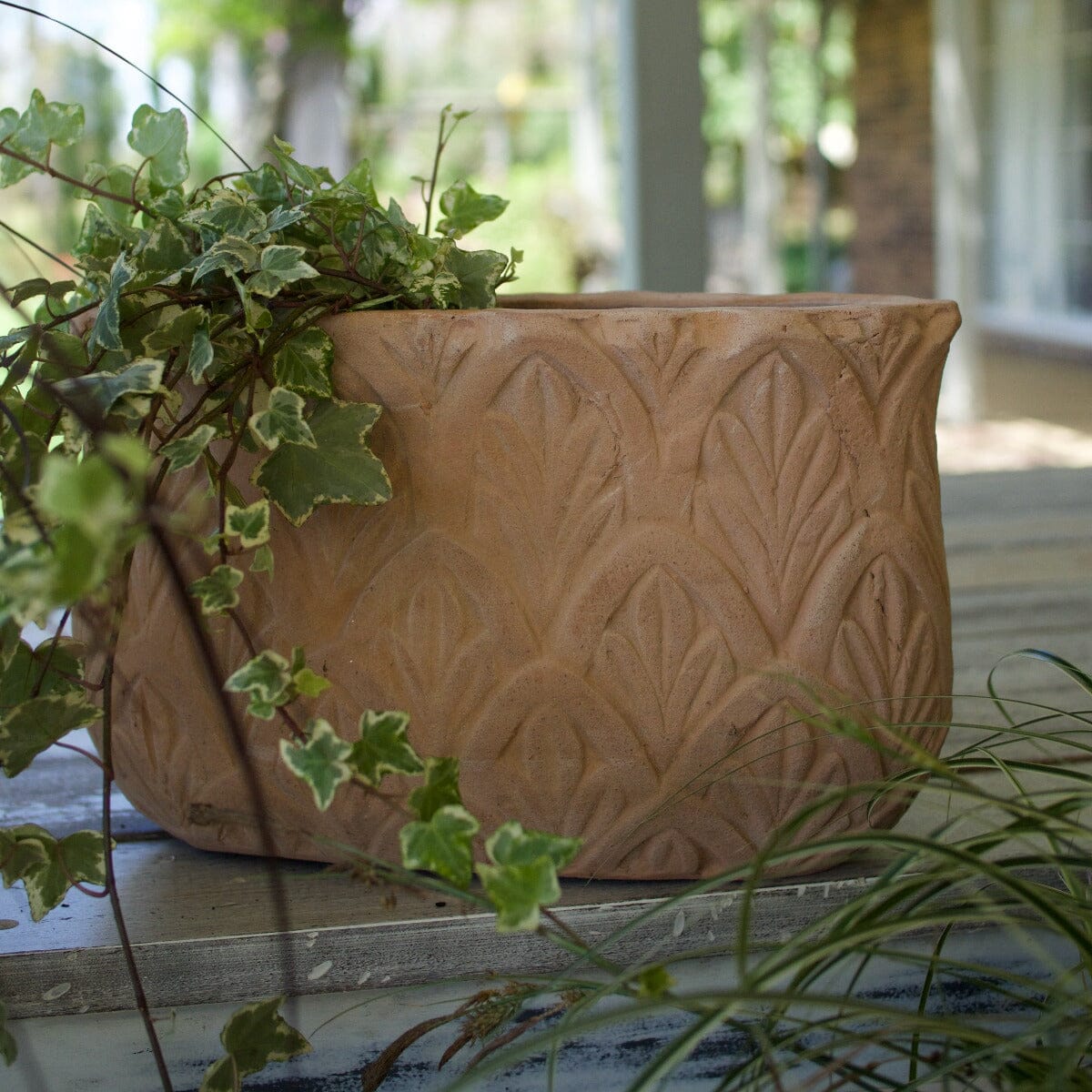 Antique Terra Paloma Oval Pots - Antique Terra Brookfield Gardens 