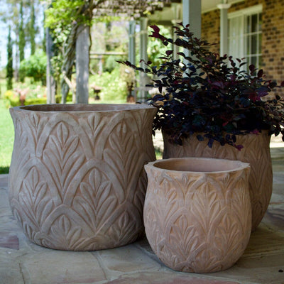 Antique Terra Paloma Pot Pots - Antique Terra Brookfield Gardens