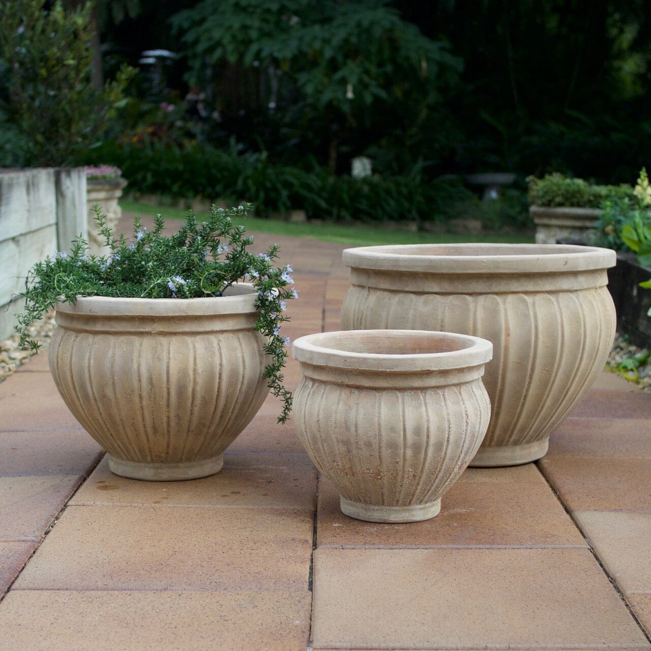 Antique Terra Pumpkin Pot Pots - Antique Terra Brookfield Gardens 