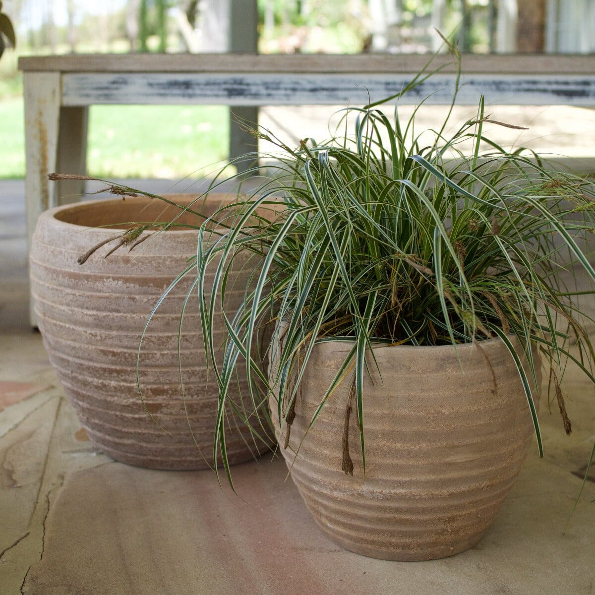 Antique Terra Ring Pot Pots - Antique Terra Brookfield Gardens 