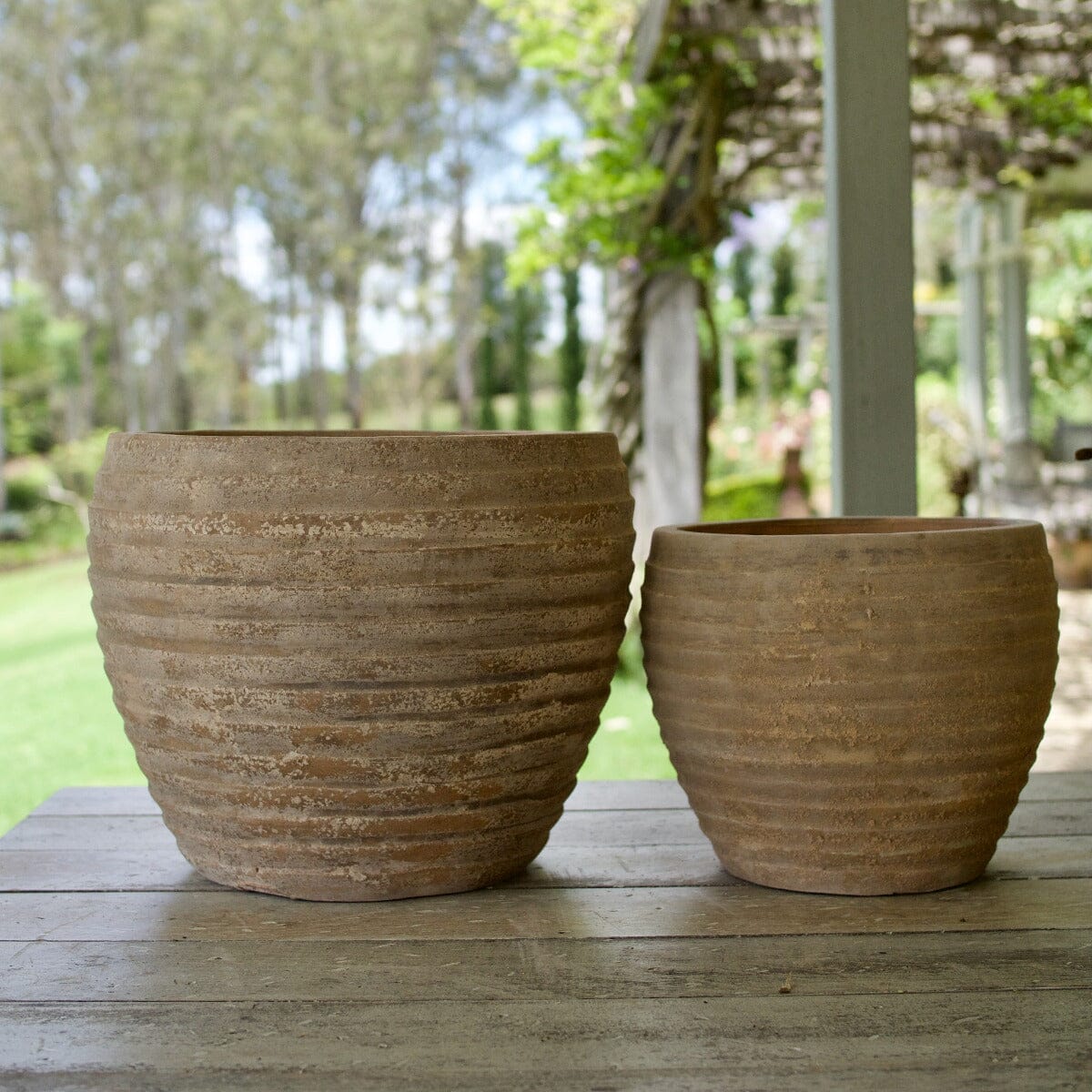 Antique Terra Ring Pot Pots - Antique Terra Brookfield Gardens 