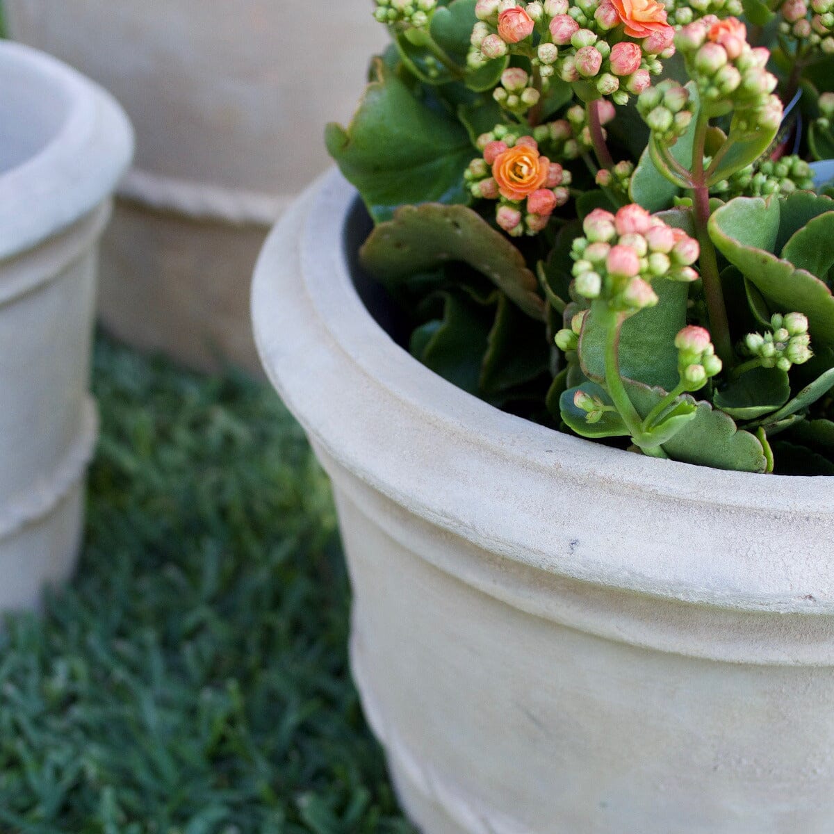 Antique Terra Roll Rim Pots - Antique Terra Brookfield Gardens 