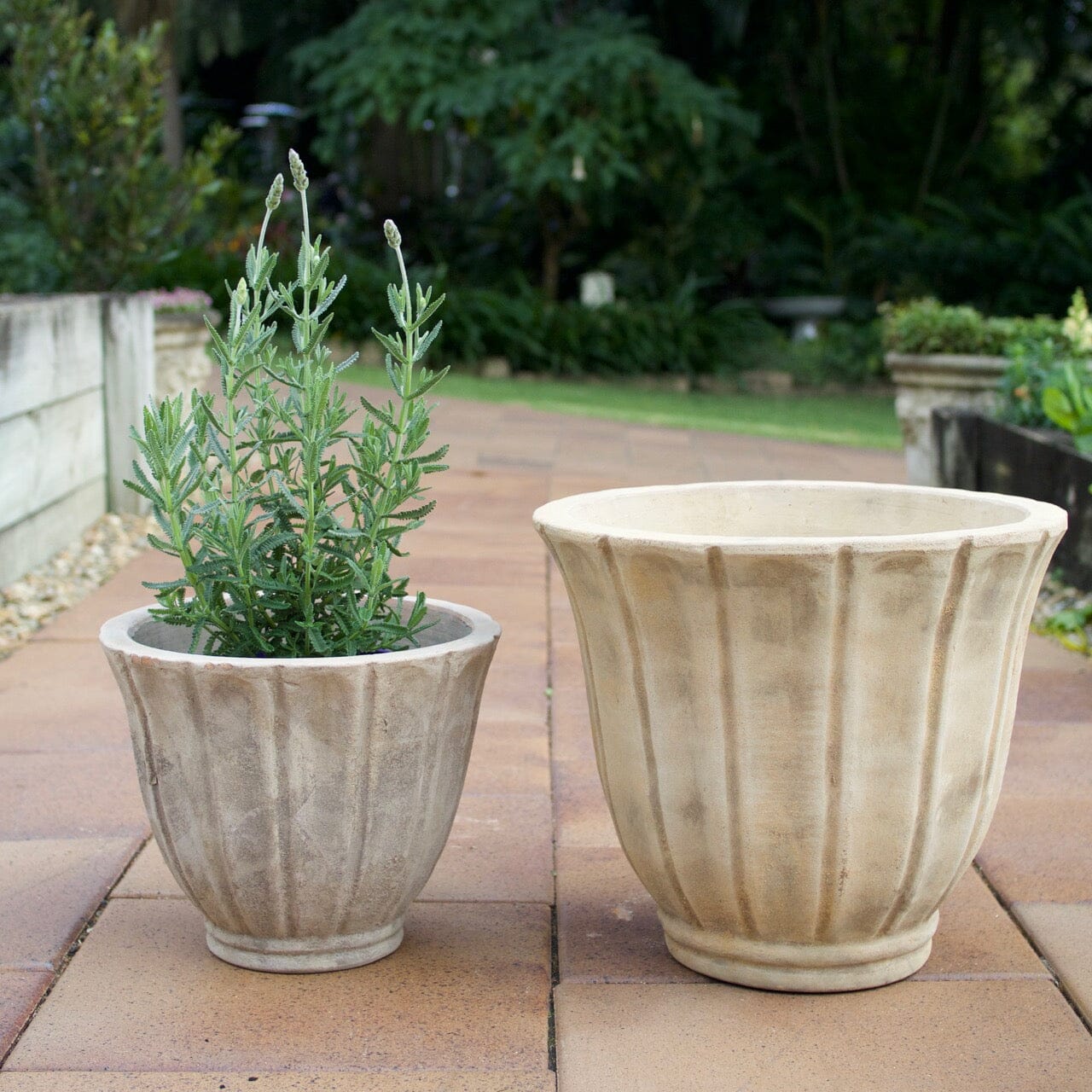 Antique Terra Tulip Pot Pots - Antique Terra Brookfield Gardens 