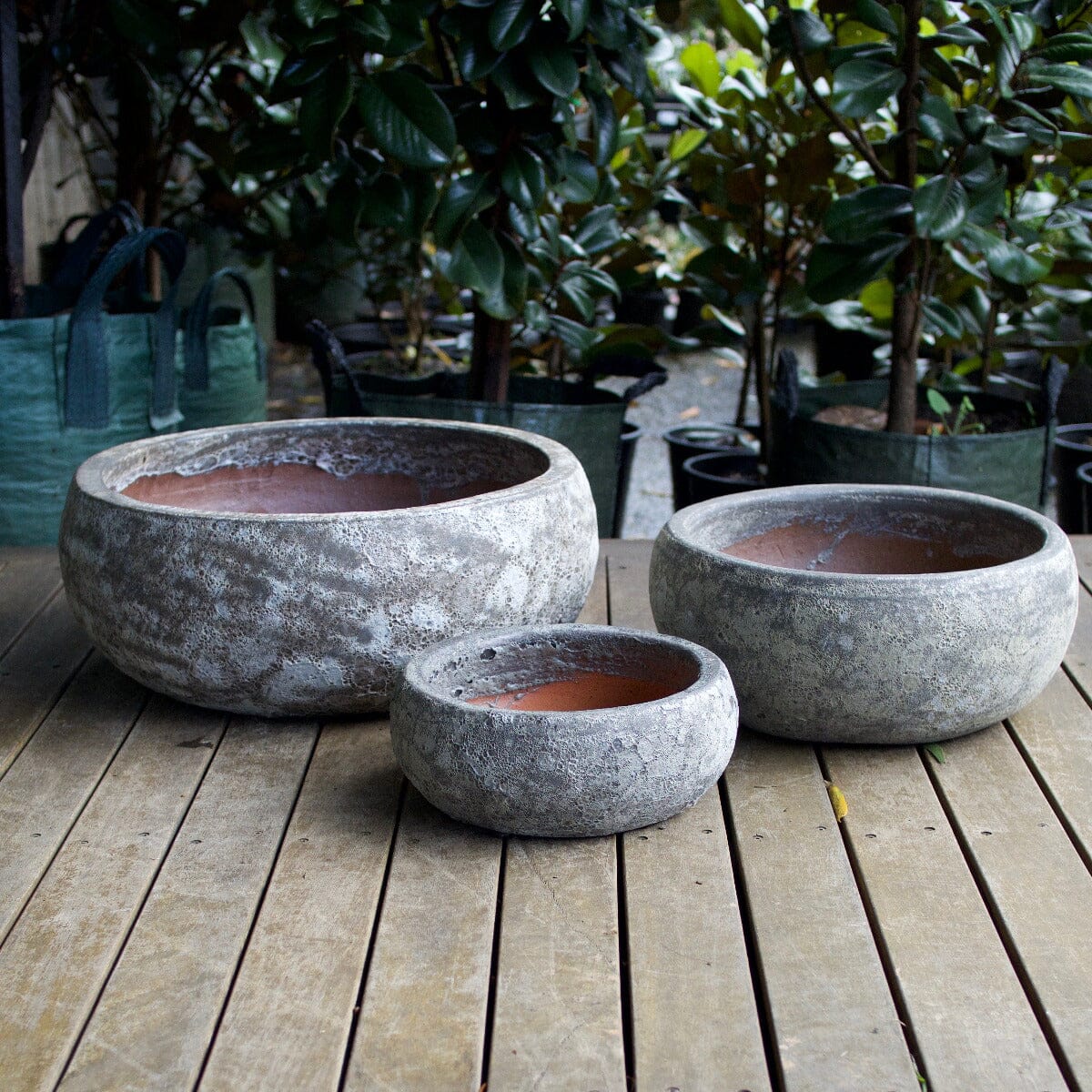 Atlantis Rounded Bowl Pots - Atlantis Brookfield Gardens 30x11cm White