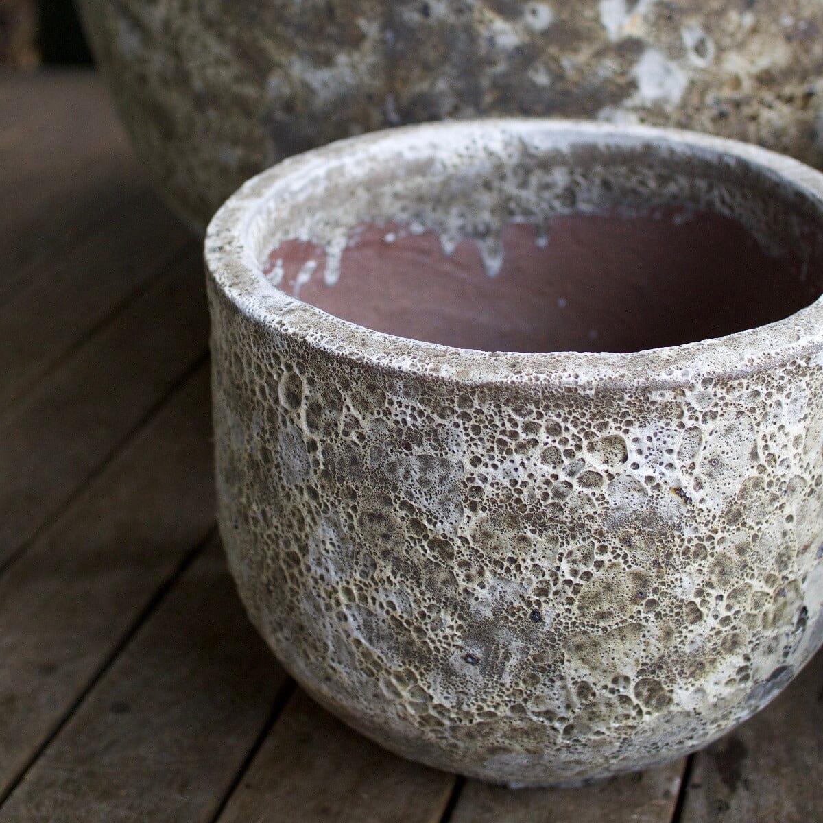 Atlantis White Cup Planter Pots - Atlantis Brookfield Gardens 