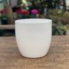 Basel Shiny White Pots - Decorator Brookfield Gardens