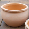 Bavaria Bowl Pots - Terracotta Brookfield Gardens