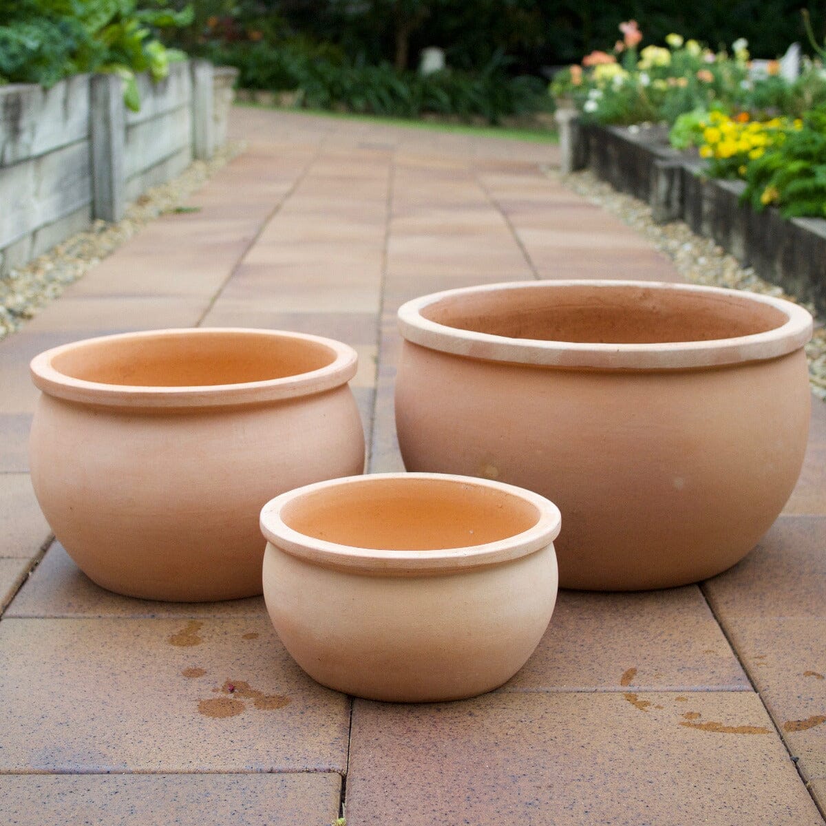 Bavaria Bowl Pots - Terracotta Brookfield Gardens 