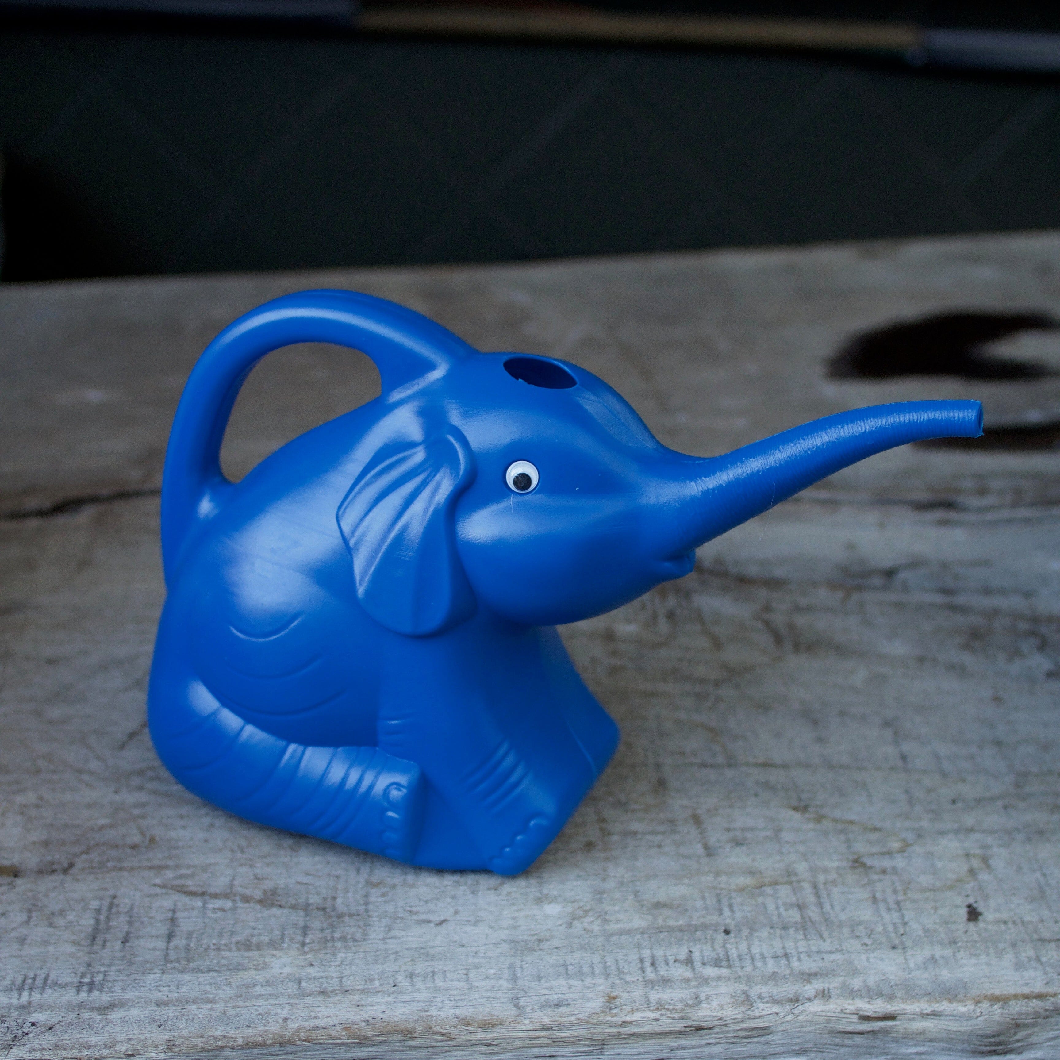 Blue Elephant Watering Can Kids Brookfield Gardens 