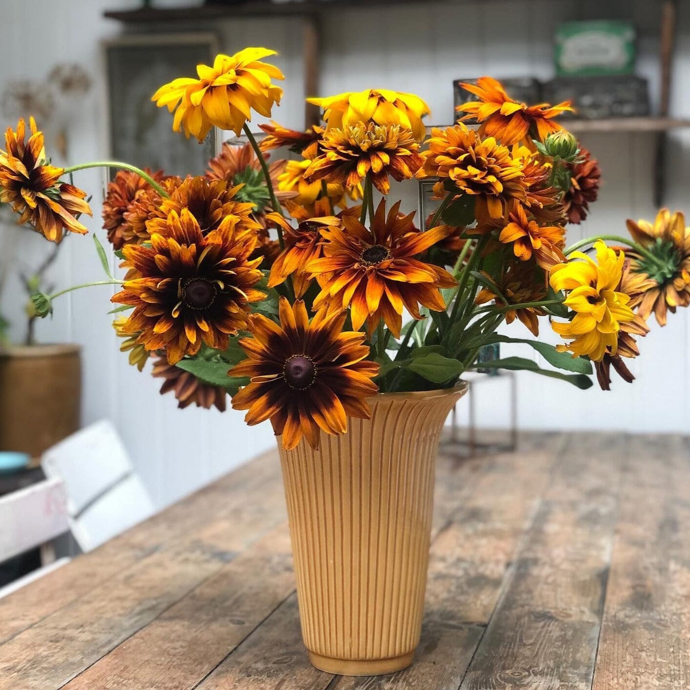 Daisy Amber Yellow Vase Florist - Vessels Berg 