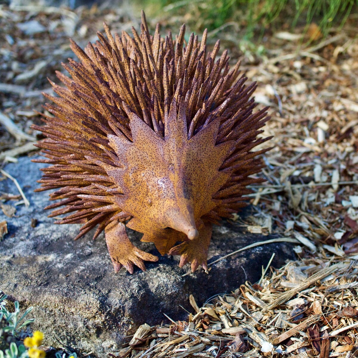 Echidna Rust Large Garden Art Brookfield Gardens 