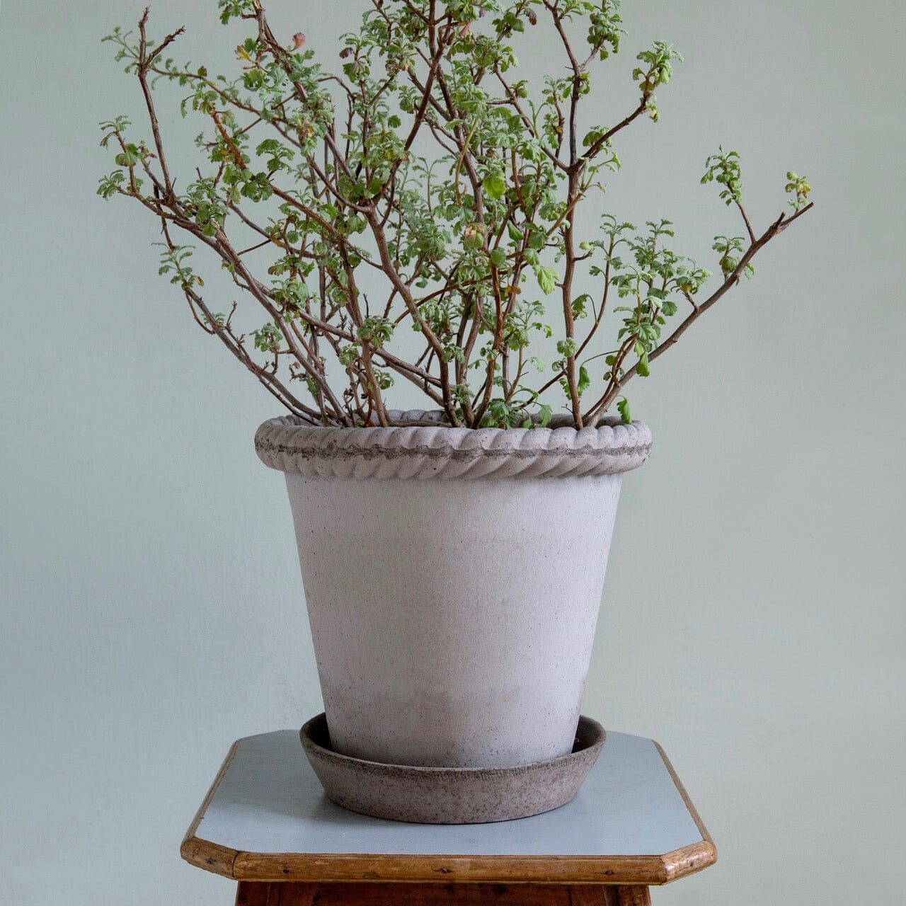 Emilia Grey inc Saucer Florist - Vessels Berg 