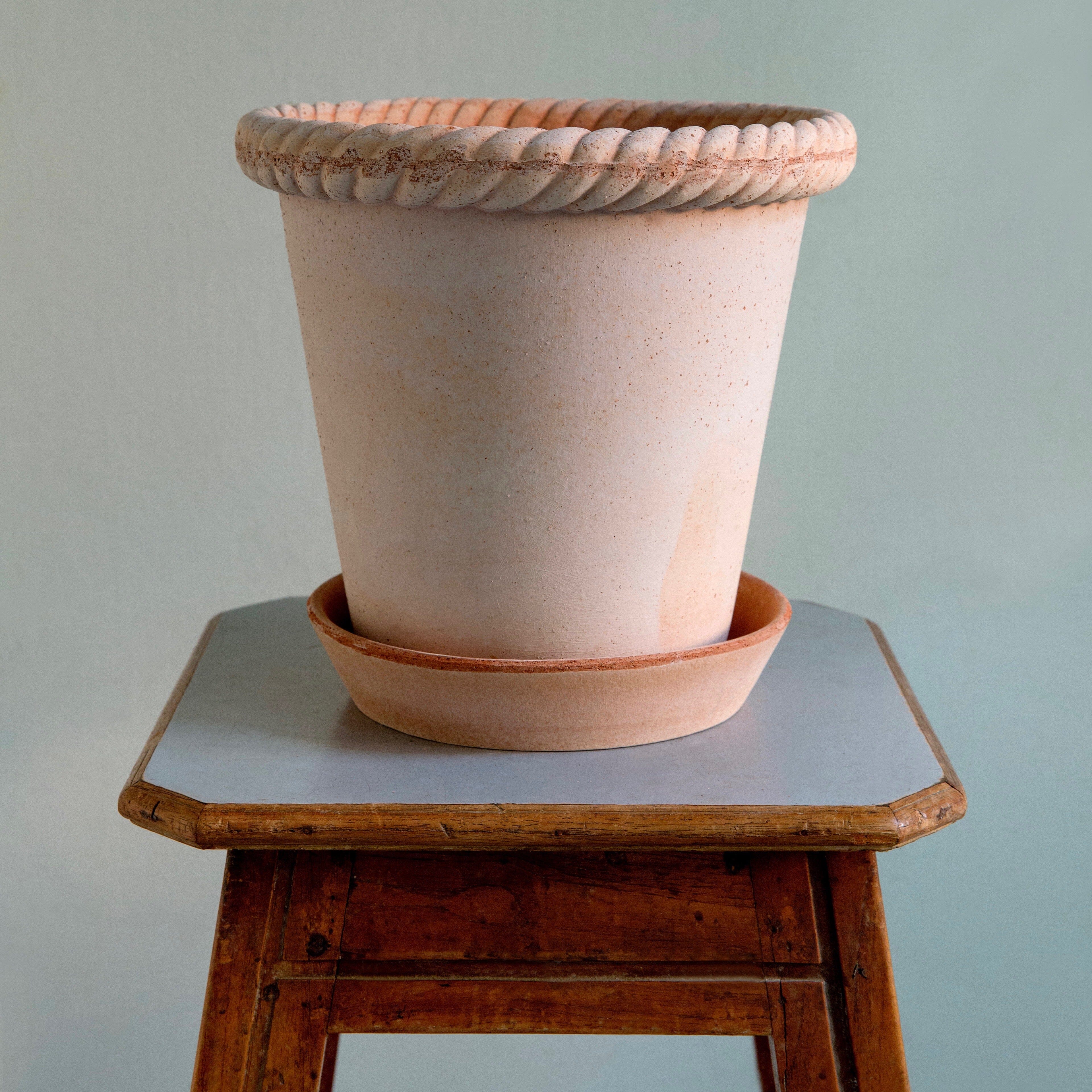 Emilia Rose inc saucer Florist - Vessels Berg 