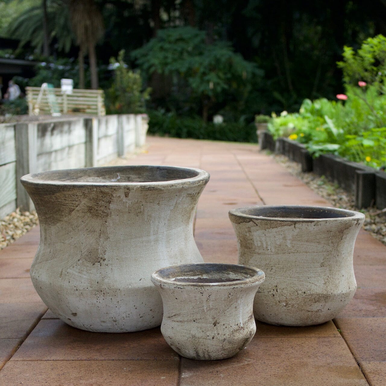 Ganache Lotus Pot Pots - Terracotta Brookfield Gardens 