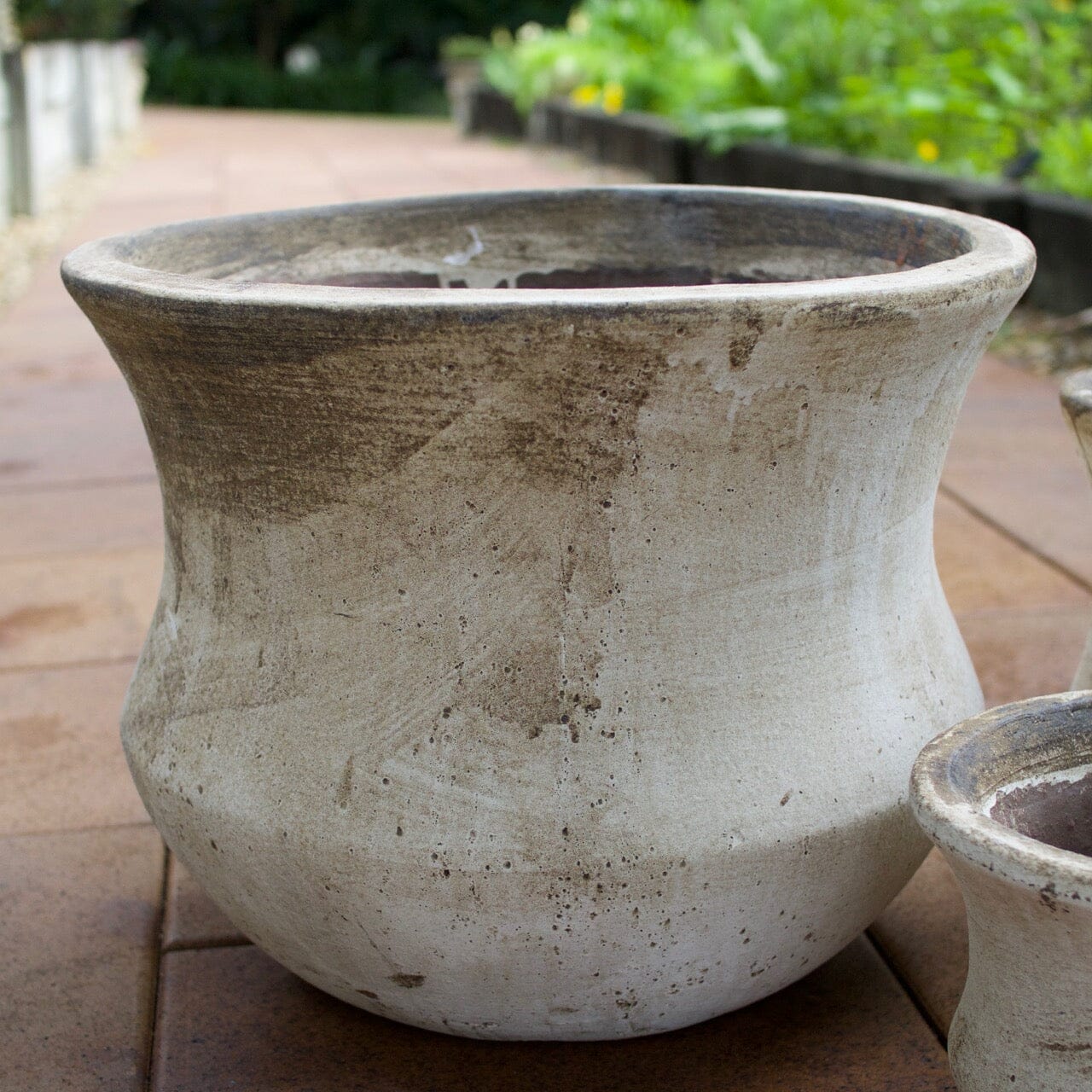 Ganache Lotus Pot Pots - Terracotta Brookfield Gardens 