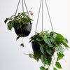 Grace Hanging Pot Black Pots - Decorator Hanging 