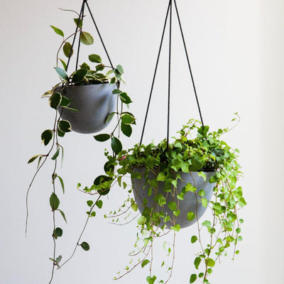Grace Hanging Pot Grey Pots - Decorator Hanging