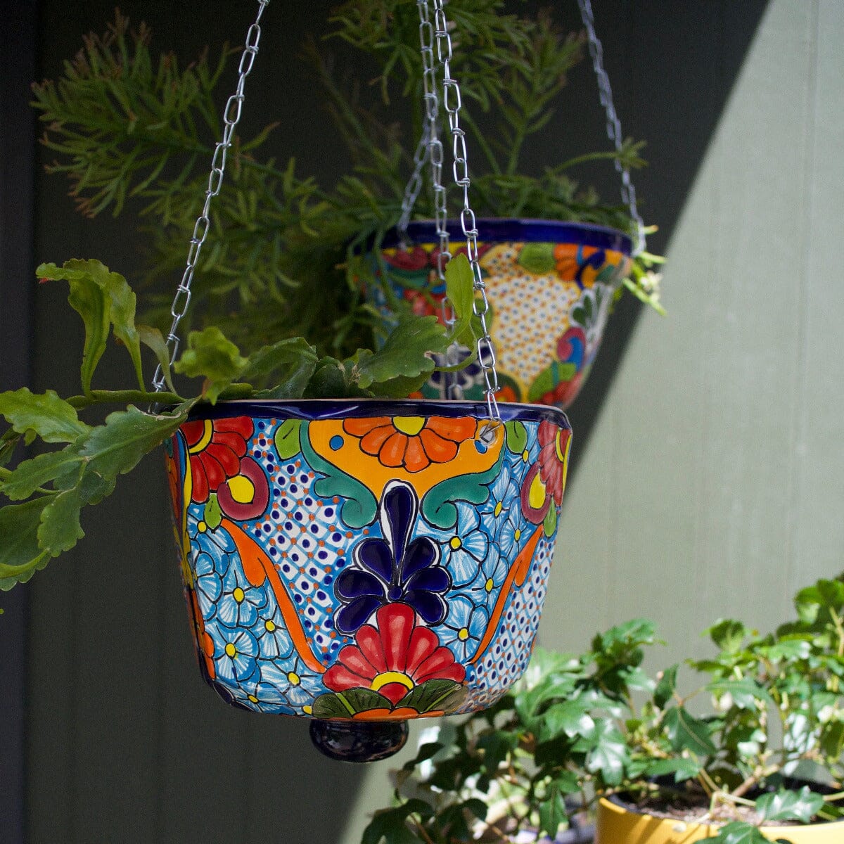 Hanging Planter Octagon 23cm Mexican Brookfield Gardens 