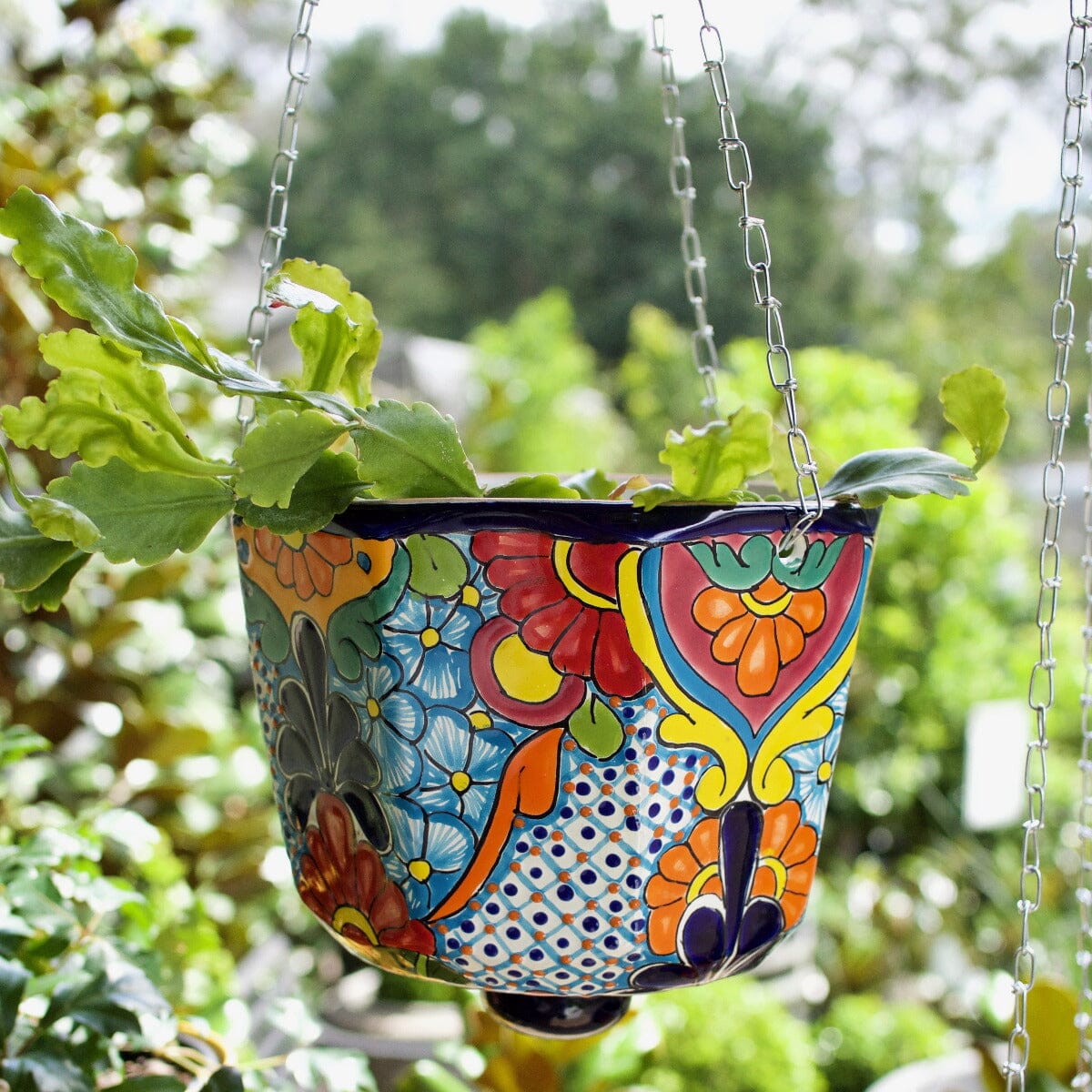 Hanging Planter Octagon 23cm Mexican Brookfield Gardens 