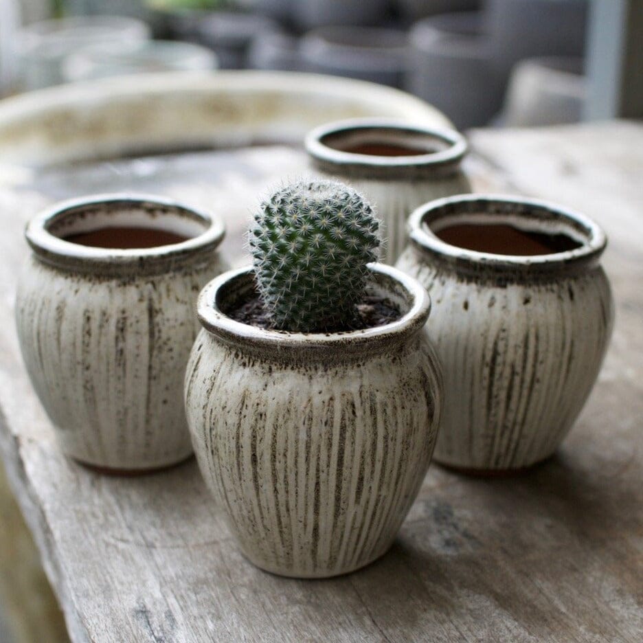 Itty Bitty Jar Pots - Decorator Brookfield Gardens 