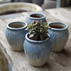 Itty Bitty Jar Pots - Decorator Brookfield Gardens