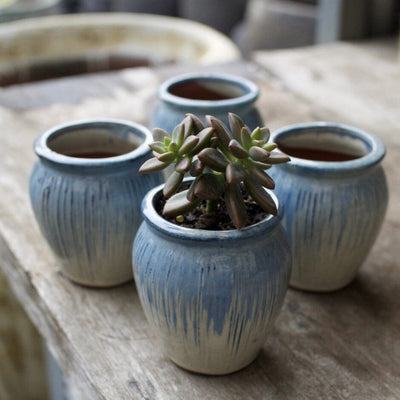 Itty Bitty Jar Pots - Decorator Brookfield Gardens