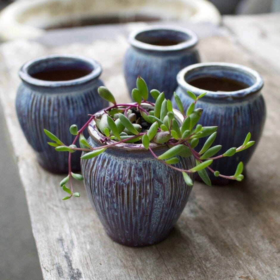 Itty Bitty Jar Pots - Decorator Brookfield Gardens 