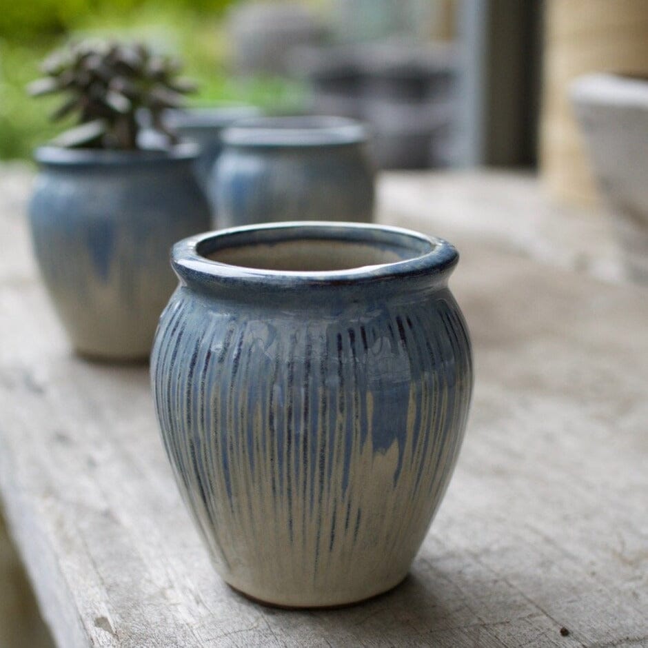 Itty Bitty Jar Pots - Decorator Brookfield Gardens 9.5x10.5 Blue white 