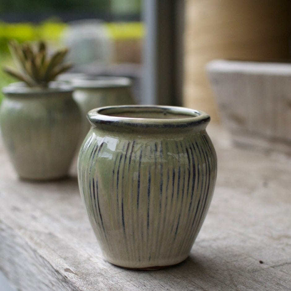 Itty Bitty Jar Pots - Decorator Brookfield Gardens 9.5x10.5 Green White 