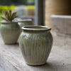 Itty Bitty Jar Pots - Decorator Brookfield Gardens 9.5x10.5 Green White