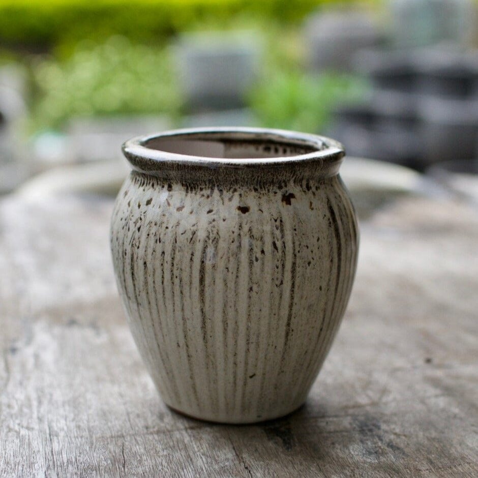 Itty Bitty Jar Pots - Decorator Brookfield Gardens 9.5x10.5 Mocha 