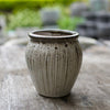 Itty Bitty Jar Pots - Decorator Brookfield Gardens 9.5x10.5 Mocha