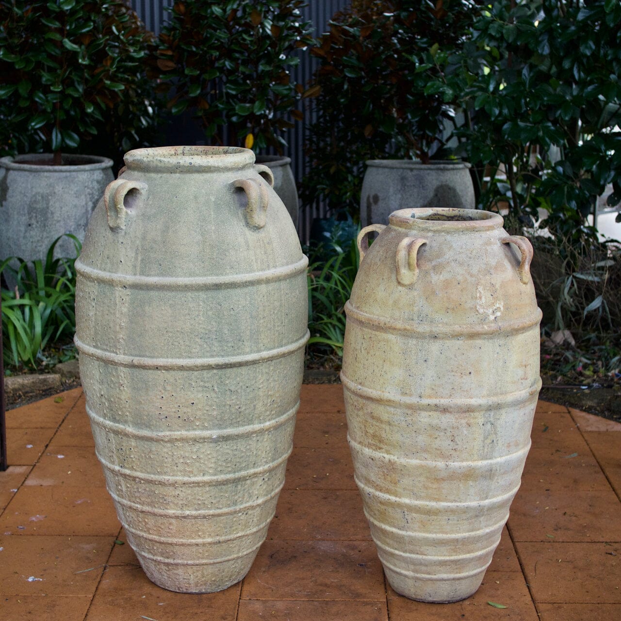 Kos jar with Lugs sm Pots - Frost Proof Brookfield Gardens 