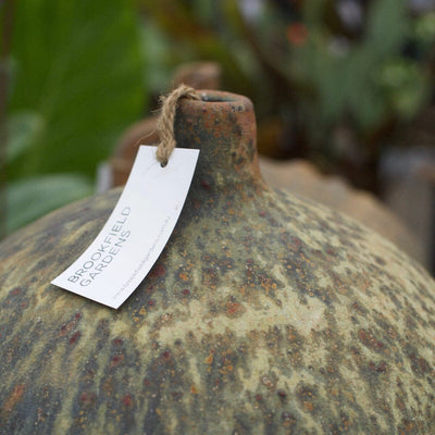Melon Pots - Frost Proof Brookfield Gardens