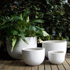 Sante Cup Pots - Light Weight Brookfield Gardens 26x18cm White