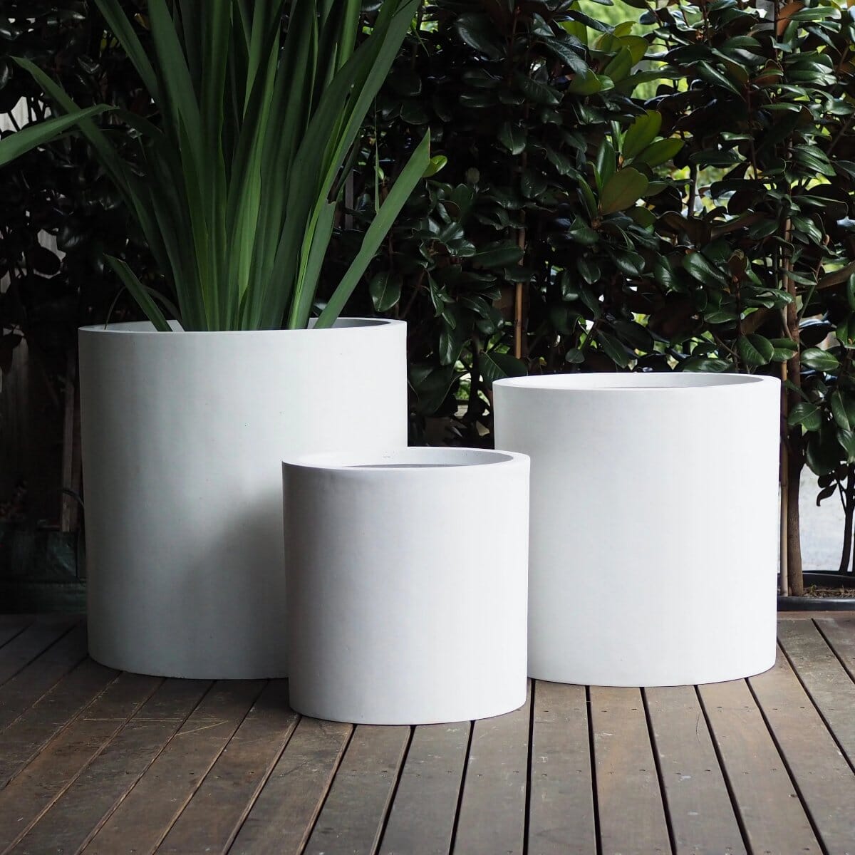 Sante Cylinder Pots - Light Weight Brookfield Gardens 