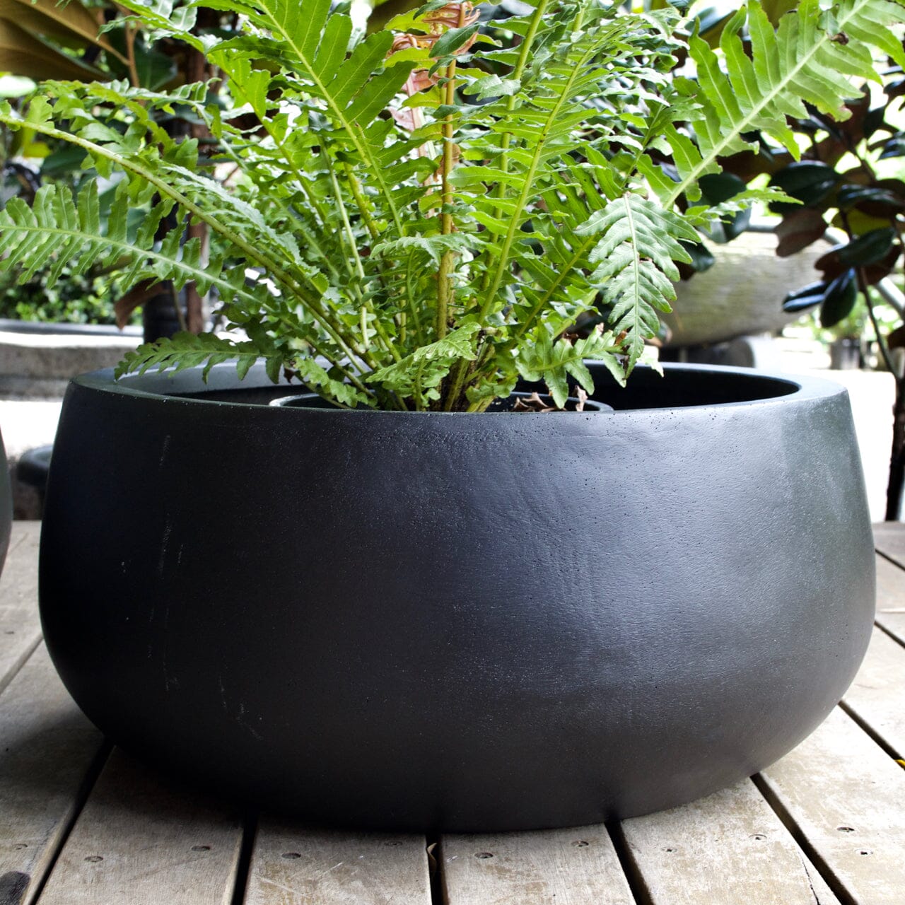 Sante Low Bowl Pots - Light Weight Brookfield Gardens 