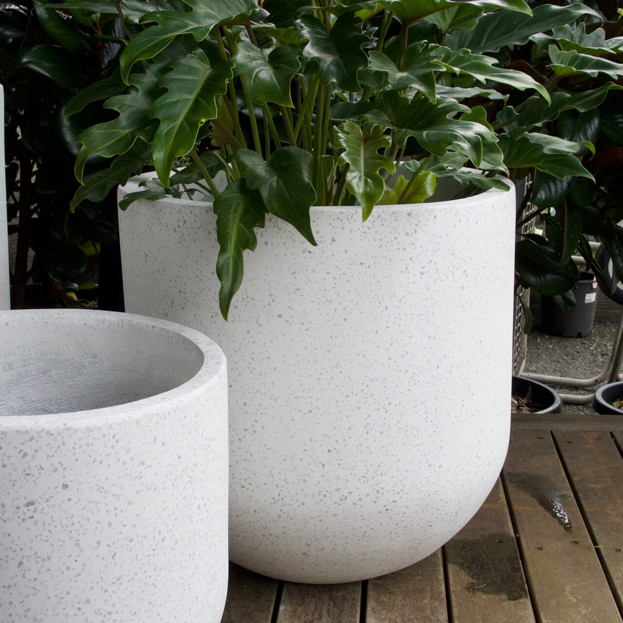 Terrazzo Bullet Pots - Terrazzo Brookfield Gardens 