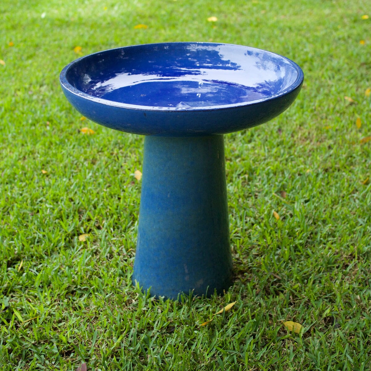 Wren Birdbath Statues / Water features / Bird Bath Garden Club 